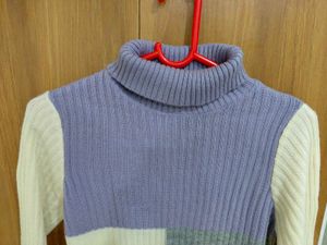 Roadster Color Block Turtleneck Sweater