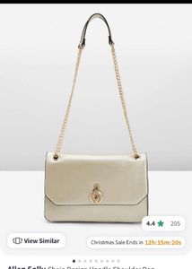 Allen Solly Handbag