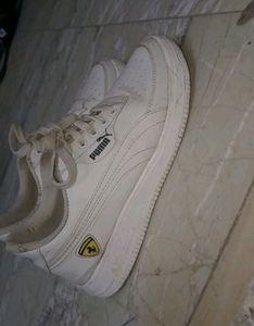 Puma shoes