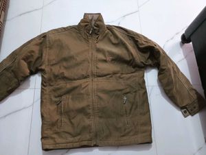 Two in one Brown Casual Jacket