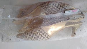 Original New With Tag Golden Mochi Sandals. All Pi