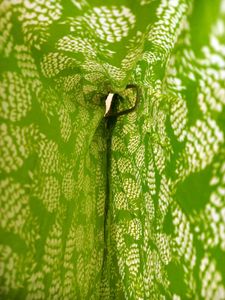 Green Boho Top