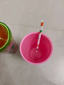 Fruits Juice Milk Sipper Mug