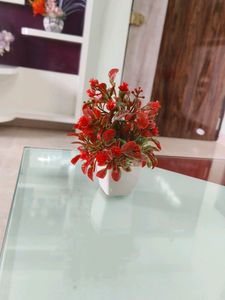 2 Combo Flower With Vash