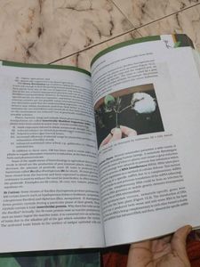Class XII Biology Textbook