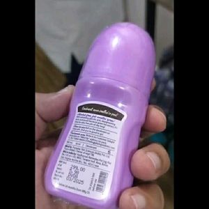 Plum Underarm Roll On