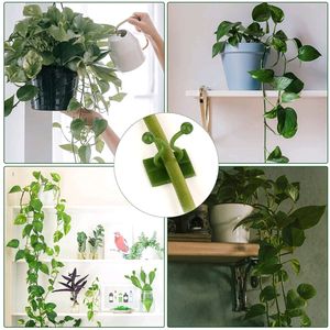 Plant Climbing Wall Clips Self-Adhesive Money Plant Support Clips Vine Plant Climbing Fixing Clip