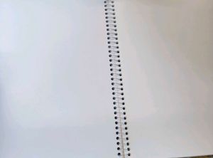 Saathi Notebooks (Set of 2)