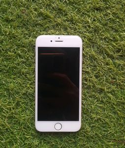 iPhone 6 (64GB) – Display/Touch Not Working