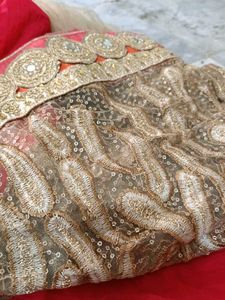 Designer Saree...I Not Want Saree ...