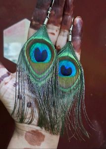 Combo Of 4 Peacock Earrings