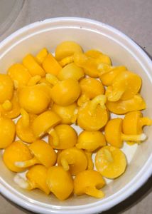Dflora Diya Batti - 50 pcs