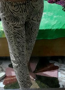 Leopard🐆Print Trouser