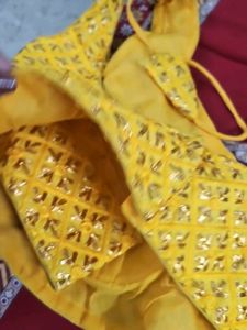 Yellow Embellished Sari Blous Margin  Haie