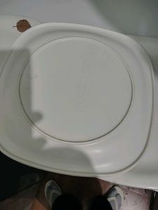 Leaf Pattern Dinner Plates set of 6