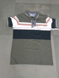 Stylish Olive Polo Shirt