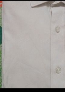 Max Shirt For Boys