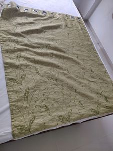 Window Curtain
