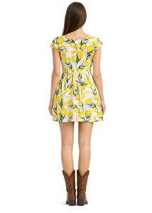 Floral Fit and Flare Dress