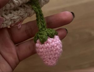 Crochet Keychain Combo