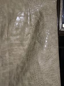 Crocodile Print Mini Skirt