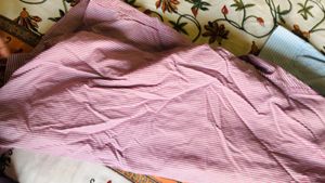 Peter England Striped Shirt