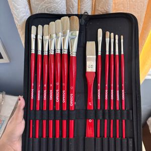 🎨 Solimo 13-Piece Oil Paint Brush Set + Premium C