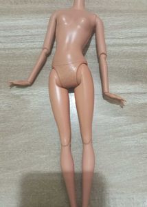 Doll Body (Reserved 💞)