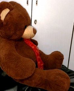 Brown Puii