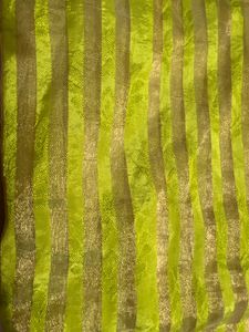 Lime Green Saree