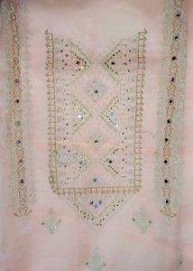 Organza Pakistani Suit