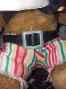 Pirate Teddy Bear