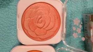 2 Anylady Blusher