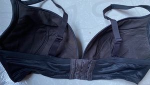 Cacique 38D Padded Black Bra