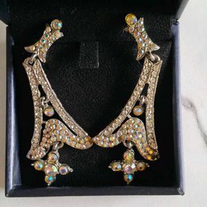 Sparkling Drop Earrings