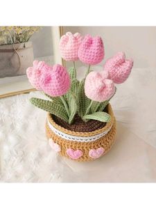 Crochet Pot