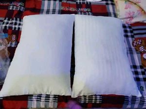 Pillow Set Of 5