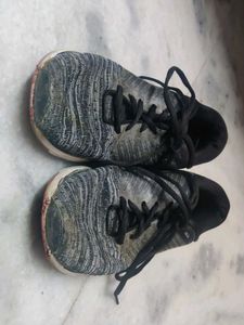 Hrx Shoes