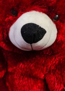 Big Size Teddy Bear 🧸