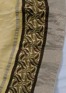 Elegant Lehenga Choli Set