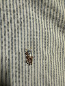 Ralph Lauren Stripped Oxford Shirt