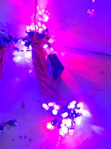 Led Light ( 1nos)