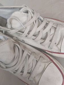 Converse White Sneakers