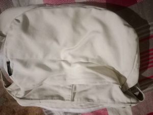 Light Beige Hobo Bag