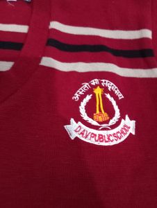 Dav Public School Sweater