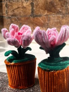 Flower Pot