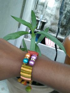 Stylish Bangle Bracelet
