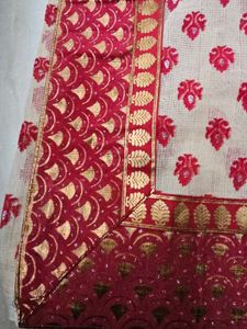 Beautiful Net Sharee