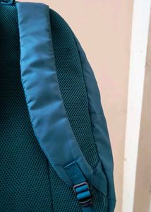 Bag back