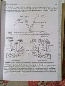 The New Book of Biology Class XII Vol. I